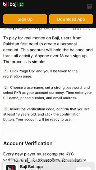 Baji Bet Pakistan 📱 App — overview and functionality