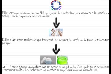 La thérapie génique pour traiter les blessures des nerfs