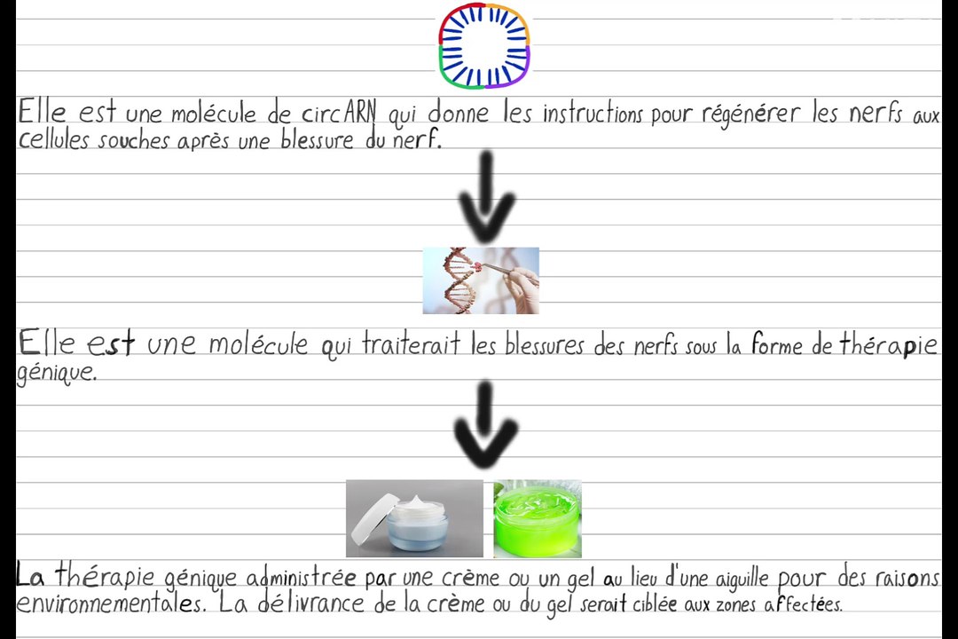 La thérapie génique pour traiter les blessures des nerfs