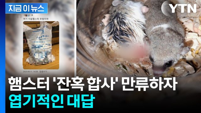잔혹한 햄스터 학대 영상 수개월째 게시...경찰, 수사 착수 [지금이뉴스] / YTN