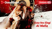 (Doblado) Esta Vez Elegí Al Mafia Full Episodes & Movie