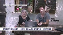 Brigitte Bardot : icône de la protection animale