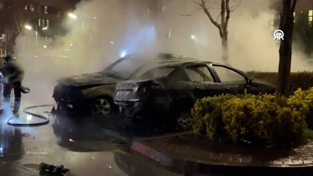 Park halindeki iki otomobil alev alev yandı