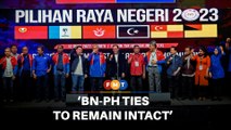 BN-PH ties to remain intact despite Puchong Umno’s actions, says analyst
