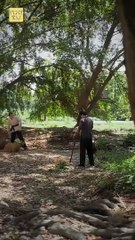 De la ruina al triunfo Cuando todo cambia (Doblado)