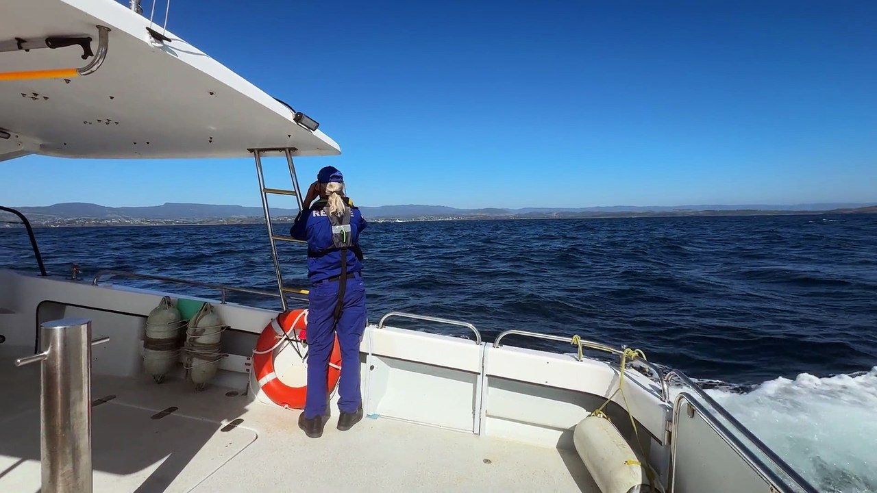 mrnsw_missing_rock_fisherman_search_sa_30_24-12-25_v1 (1080p)