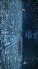 1 VS 2 HASHIRA TRAINING 😈😈 #viralvideo #viralreel #viralanime #viral#demonslayer #zenitsu