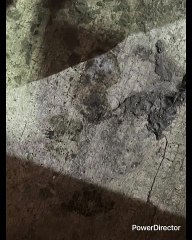 ROBERTO MTZ DIJO CON CHAVIRA DE APUESTAS YO TENGO ACENTO DE ESTADOS UNIDOS SU INGLÉS CABRON NO ERES DE USA  PELADO MUY CHAPARRITO EL OTRO ADRIAN MARCELO SE CREE CHARLIE SHEEN ESOS SON PUROS COMPLEJOS PUROS COMPLEJOS EL MEXICANO Y DE MTY QUIERE SER OTRO