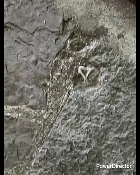 REGIOS (MTY) LOS ARGENTINOS DE MX? NO. ARGENTINOS SON EUROPEOS Y LOS REGIOS (MTY) SON MESTIZOS SACANDO MÁS EL LADO MEXICANO QUE EL ESPAÑOL 2 ARGENTINOS NO SON CHIFLADOS Y LOS REGIOS SI SON MUY CHIFLADOS PORQUE LOS HAN ELEVADO DEMASIADO Y LA+IMPORTANTE