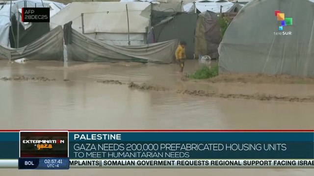 Palestine: Gaza needs 200,000 prefabricated houses to assist displaced families