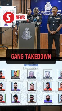 Cops bust 17 gang members linked to robberies and at least two murders