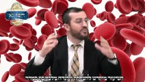 פרשת תולדות | מדוע התורה מדגישה שאברהם הוליד את יצחק 6 הסברים מדהימים | הרב דוד בכר