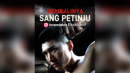 Kembalinya Sang Petinju (Sulih Suara) Film Lengkap