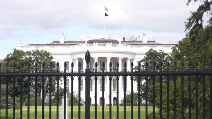 Trump reacts after key talks with Zelensky on Ukraine peace deal