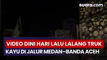 Viral Video Dini Hari Ungkap Lalu Lalang Truk Kayu di Jalur Medan–Banda Aceh