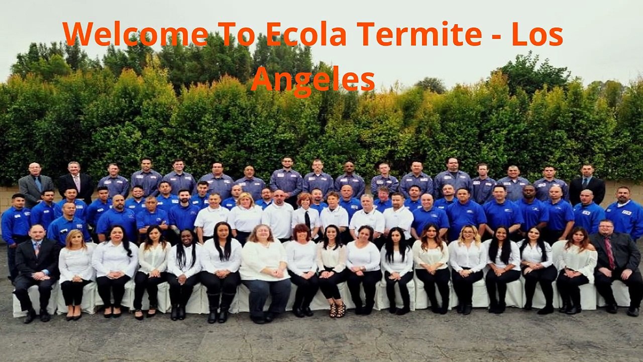 Ecola Termite - Trusted Pest Control in Los Angeles, CA