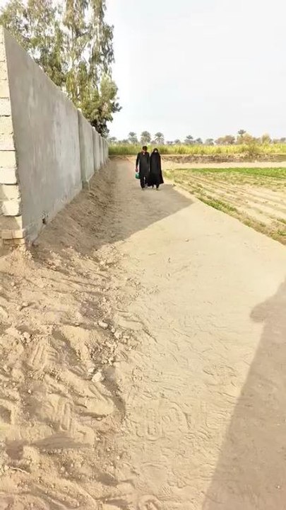 Comedy videos stop Laughing