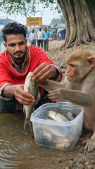 बंदर ने पकड़ी मछली!🐒😱। monkey video । monkey cartoon video । monkey funny । #shorts #monkeyanimation