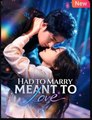 Had to Marry, Meant to Love Drama Movies English Sub