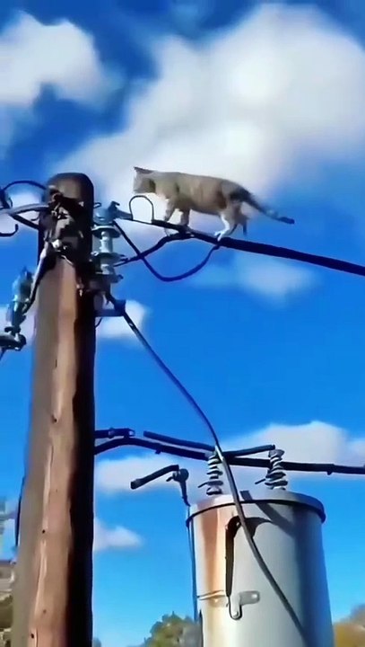 AQOMcU4SKu6FNiXN_dD8TyUIBldppQxYl4ff9JDa0MJwzP1VetrP-V8CuQ0TNC-q2vrdE9V9NoRGFi9co45VC3xZkCthAVHDL-VkUR8gHv1E4A