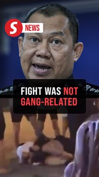 No secret society or ah long links in JB restaurant brawl, say cops