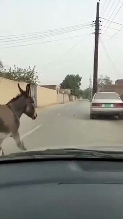 AQPJ_9QIBusPcmKhbqY9uL9qCenyrV1QTil5XzNZLixS1qz0TgVpEbSTKcn8Nmwu7S0ZcBLOOyUQ5H0c-eT07H7uydNRF6IPci-lu5yBxhIcHw