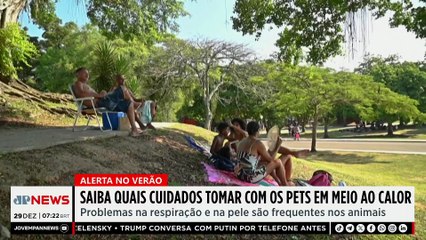 Saiba quais cuidados tomar com animais de estimação no calor