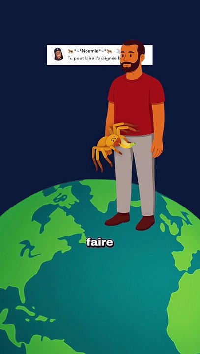 L'incroyable venin de l'araignée banane ! #araignée #banane #venin #animaux #nature