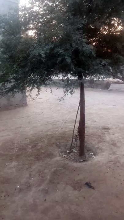 VID_20251229_170849