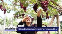 ไร่องุ่นฝ่ามรสุมช่วงน้ำท่วม สร้างรายได้ก่อนปีใหม่  | เนชั่นทั่วไทย | 29 ธ.ค. 68 | PART 2