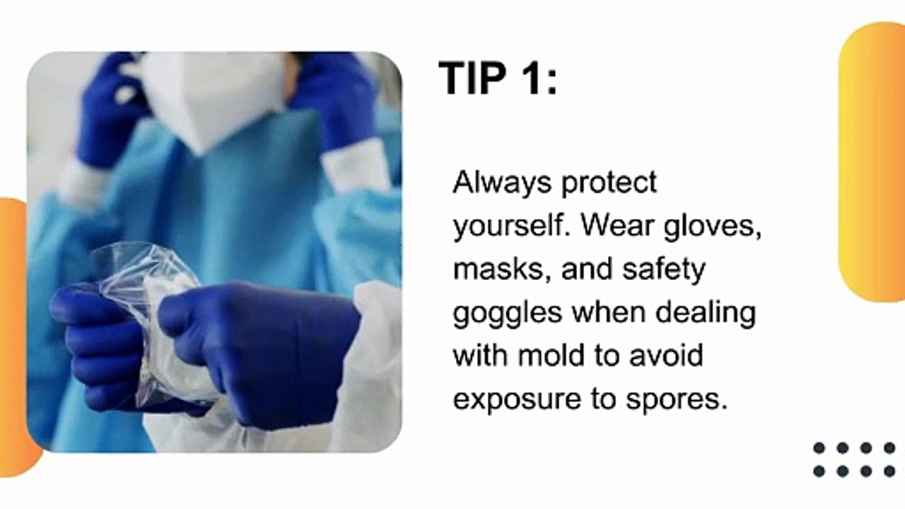 Essential Tips for Safe Mold Damage Remediation