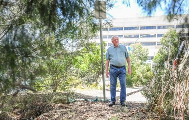 Fears about heavy fuel loads in bush around hospital