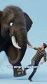 Angry Elephant Attacked a Man… The Ending Is Terrifying 😳🐘 | 3D Animation