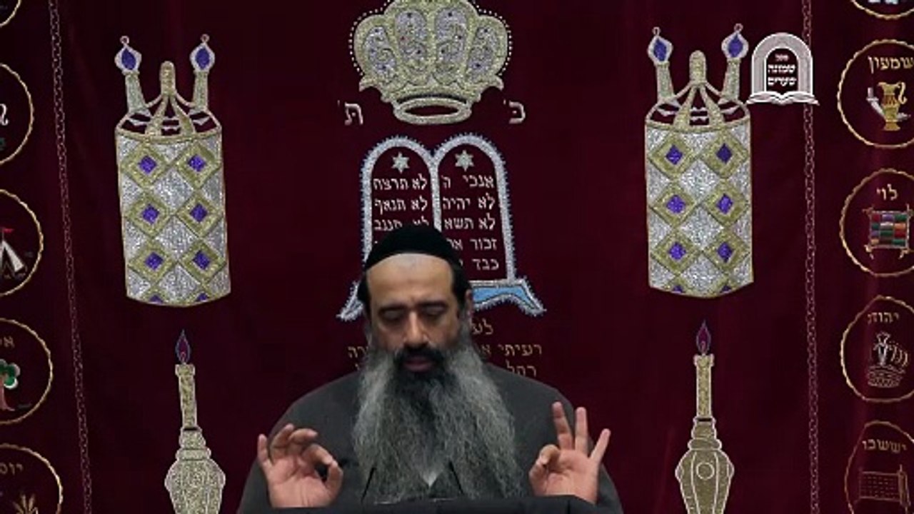 תומר דבורה שיעור 13 (24 בפועל)