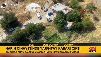 Narin Güran cinayeti: Nevzat Bahtiyar 'öldürmeye yardım etmek suçundan' yargılanacak