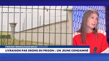 Me Virginie Bensoussan-Brulé : «Les drones sont l’outil privilégié des trafiquants»