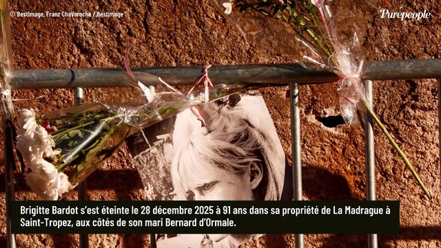 Brigitte Bardot a été privée d’affection et coupée des liens avec ses proches : un proche de l'icône du cinéma raconte ses dernières semaines
