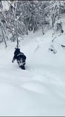 YEDAŞ ekiplerinin zorlu kış mesaisi