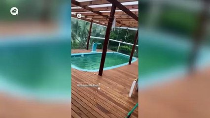 Meteored Top 10 2025