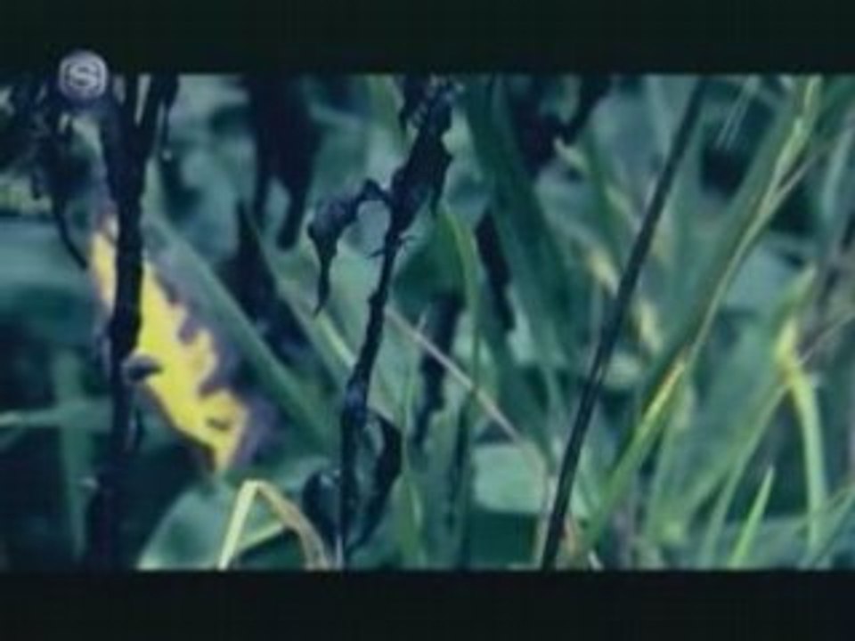 FictionJunction YUUKA - nostalgia