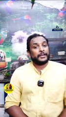 മോങ്ക് പാരറ്റ് ജോഡി | Monk Parrot Pair | Fairland Pets Phone  Number - 9544495581