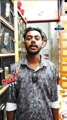 സ്വൈസൺ ലോറി കീറ്റ് ജോഡി  | Swainson Lorikeet Pair | Mickey Pets ഫോണ്‍ നമ്പര്‍ - 98463 90746