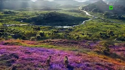 Mufasa: El rey león - Trailer final español