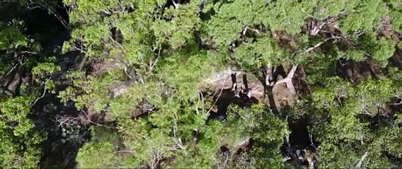 Cualquiera menos tú - Trailer final español