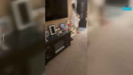 Adorable Moment Little Girls Burst Into Tears Over New Puppy Surprise