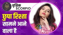 Scorpio Tarot Reading 2026: Secret Love, Obsession and Dangerous Turn? वृश्चिक राशि 2026 टैरो रीडिंग