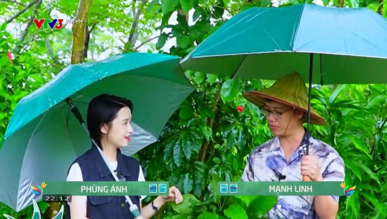 VTV3 - Đẹp +84 - Số 216 (29/12/2025) [FULL]