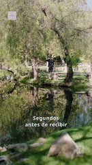 Francotirador americano el ultimo disparo [Doblado] Completo En Español