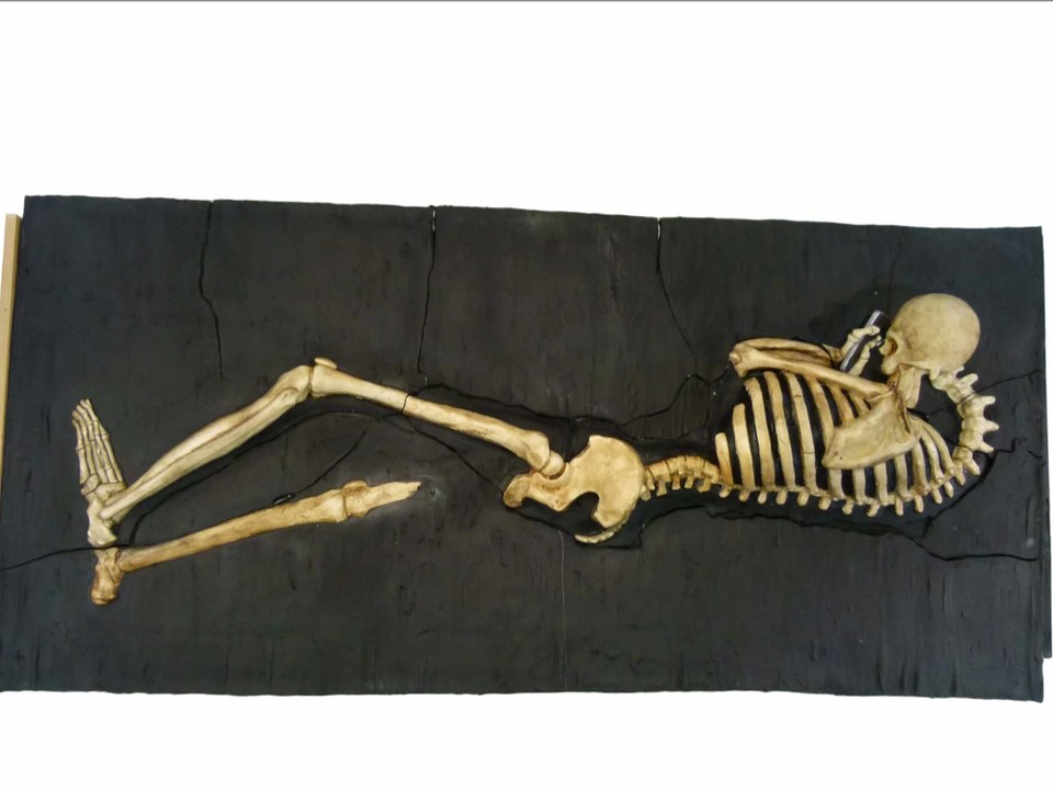 Homosapiens Digitalus