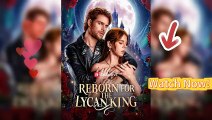 Reborn for the Lycan King🐺—Hot Drama Online Now!!❤🔥